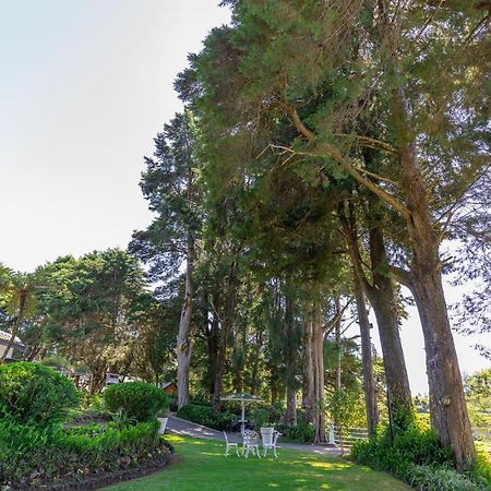 Mirage Kings Cottage Νουβάρα Ελίγια Εξωτερικό φωτογραφία