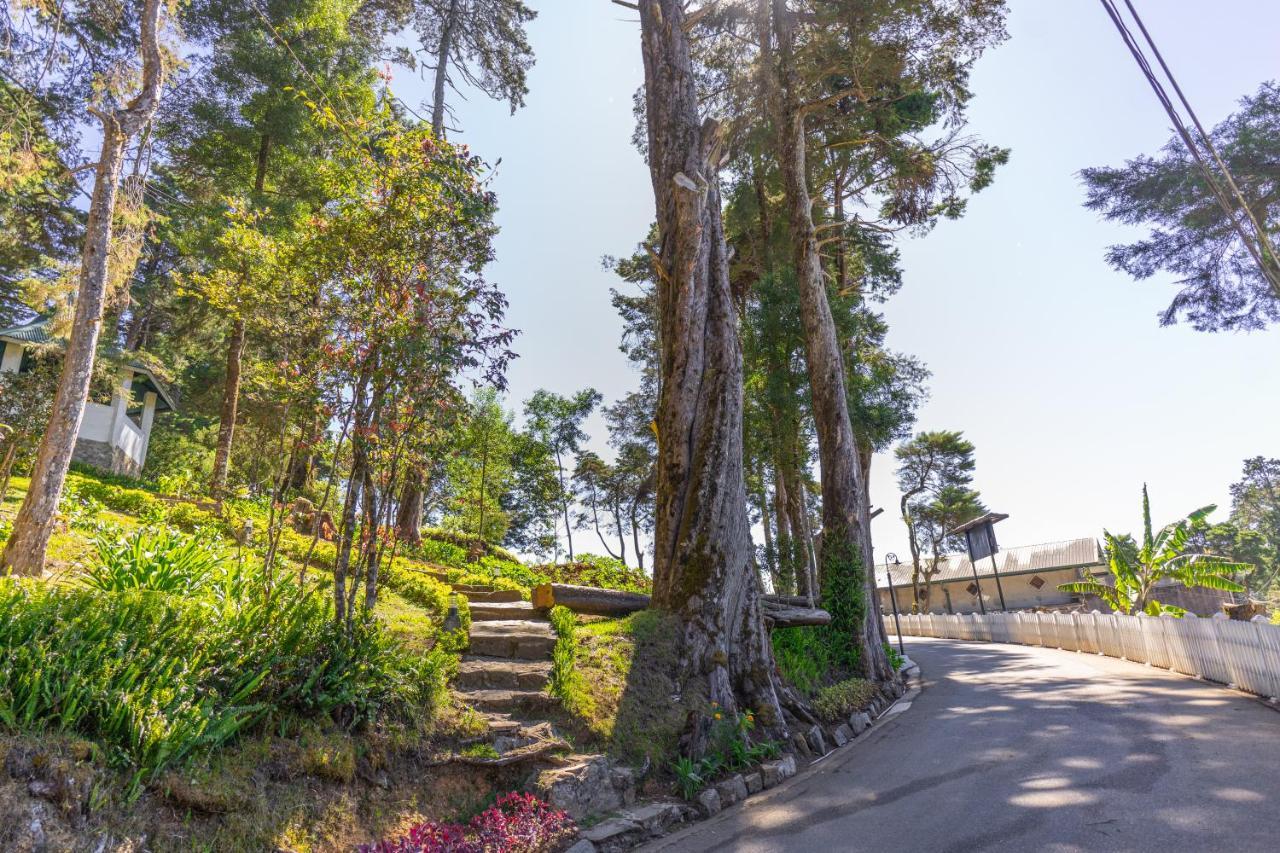 Mirage Kings Cottage Νουβάρα Ελίγια Εξωτερικό φωτογραφία