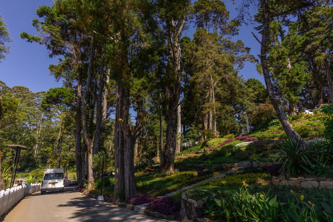 Mirage Kings Cottage Νουβάρα Ελίγια Εξωτερικό φωτογραφία