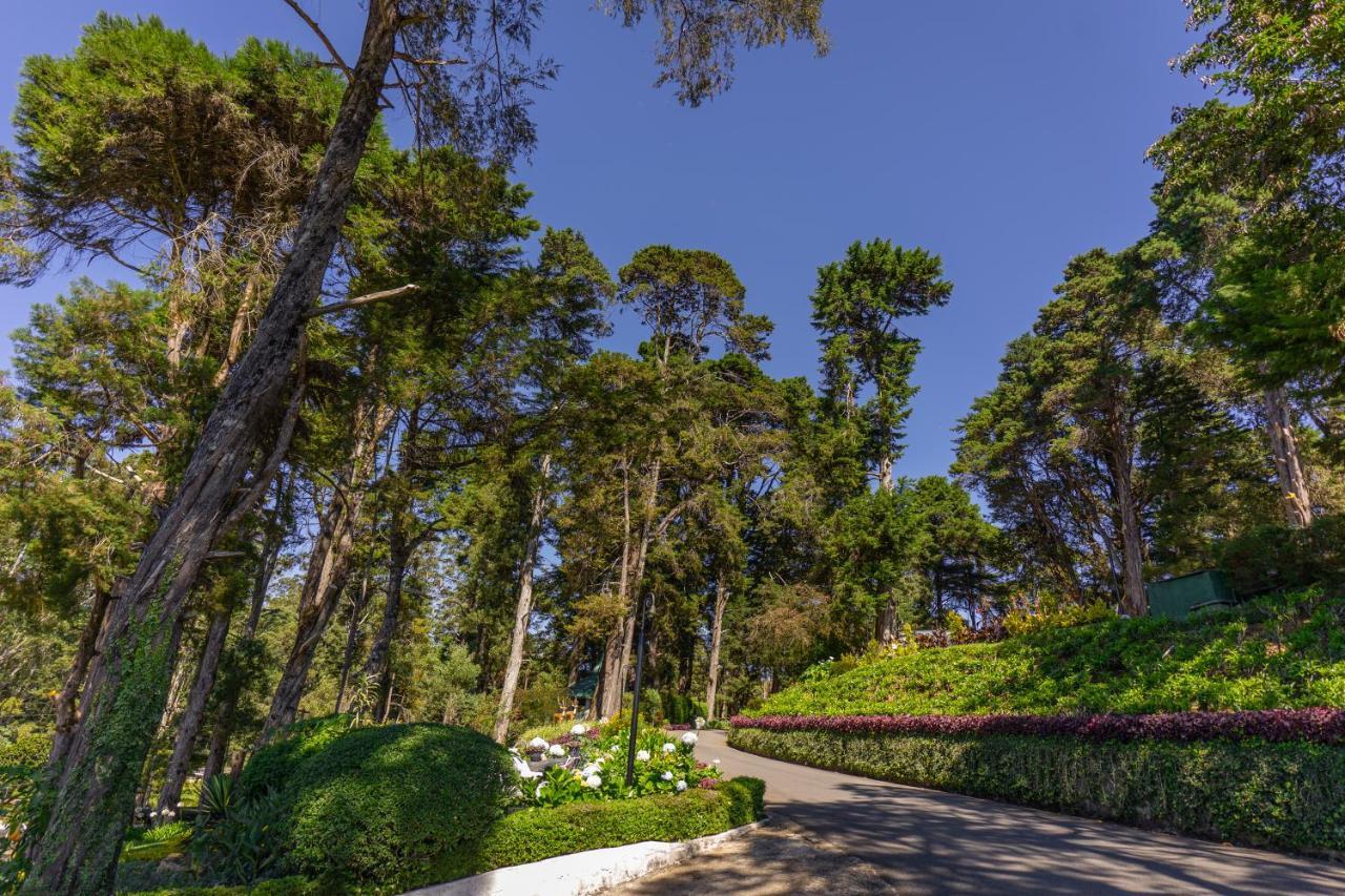 Mirage Kings Cottage Νουβάρα Ελίγια Εξωτερικό φωτογραφία