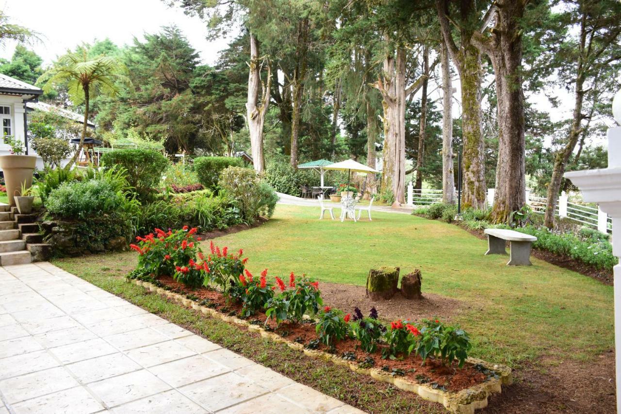 Mirage Kings Cottage Νουβάρα Ελίγια Εξωτερικό φωτογραφία