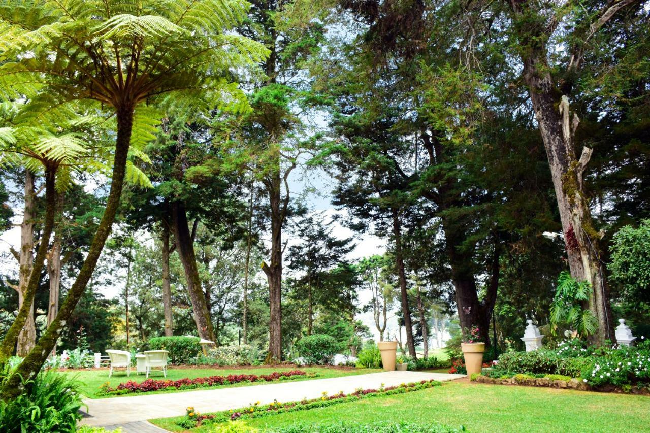 Mirage Kings Cottage Νουβάρα Ελίγια Εξωτερικό φωτογραφία